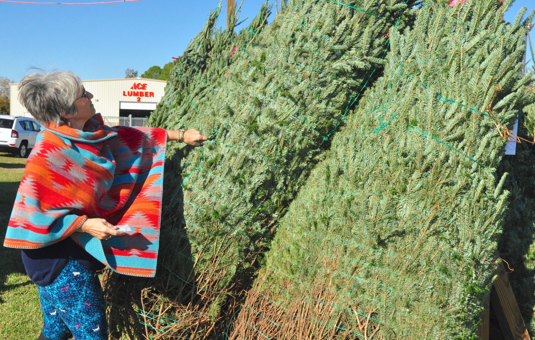As Christmas tree lots get up and running, shoppers cautioned to buy early, prepare to pay more